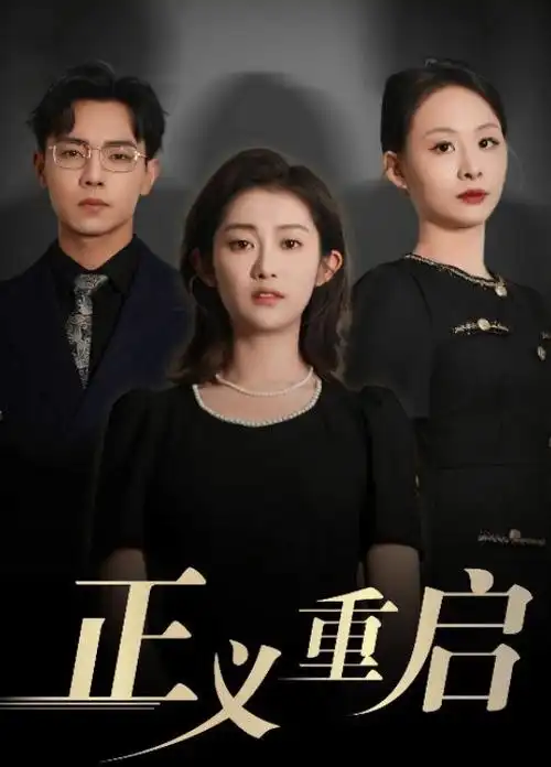 盐湖上的十二小时 海报
